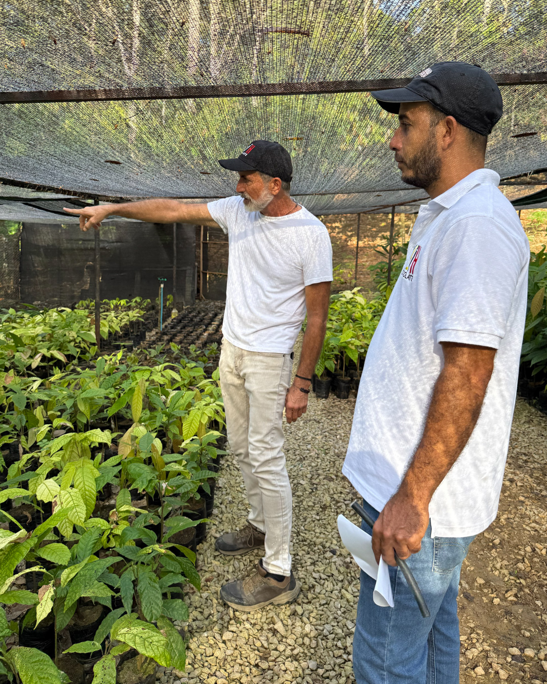 Vivero