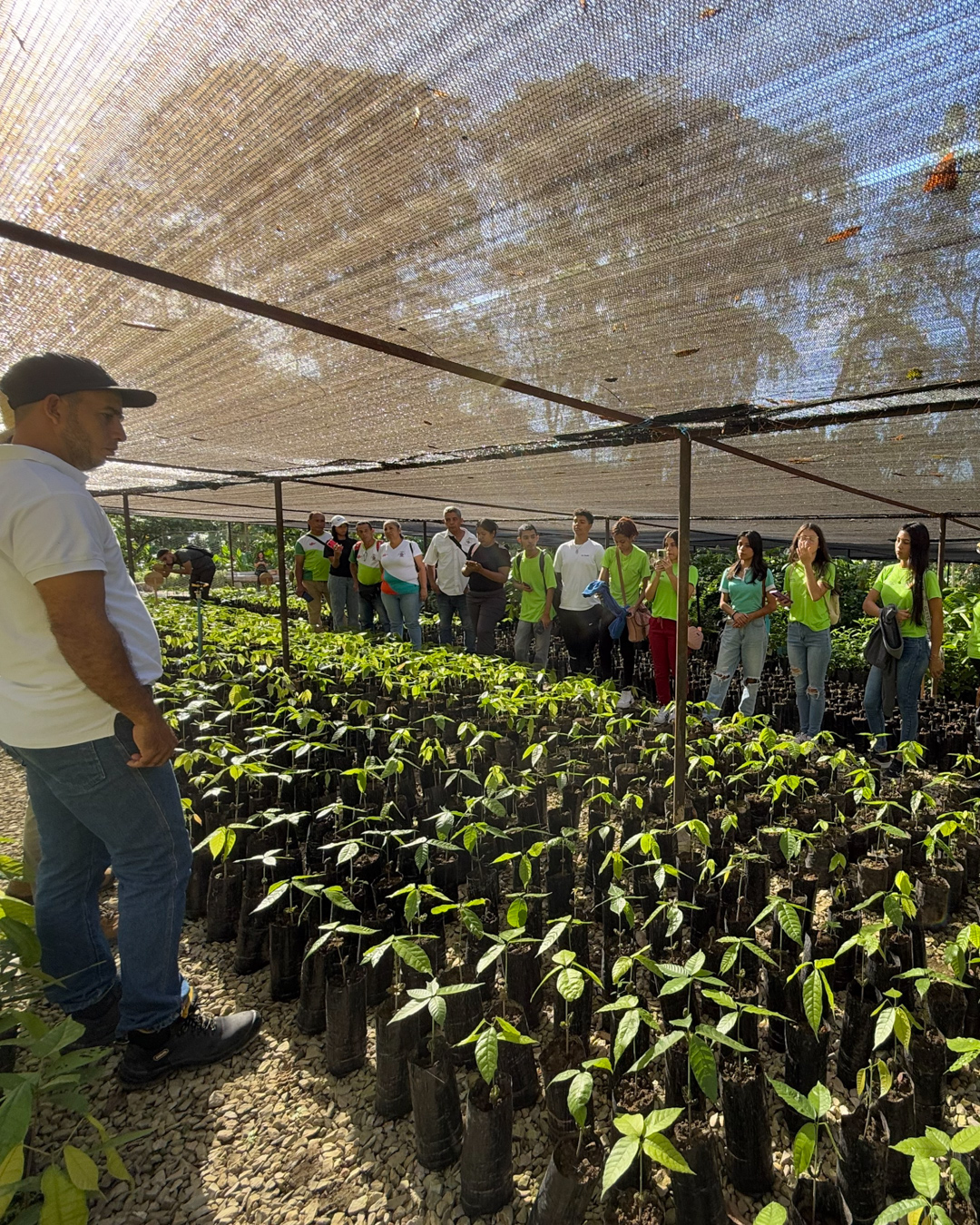 Vivero