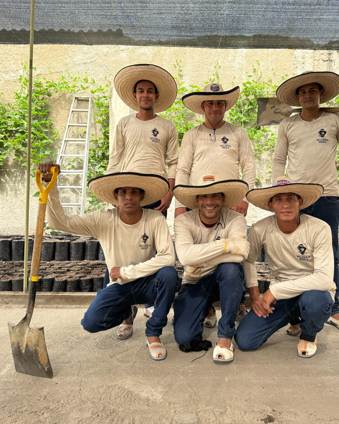 Vivero