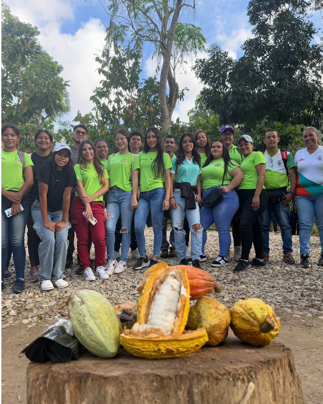 Vivero