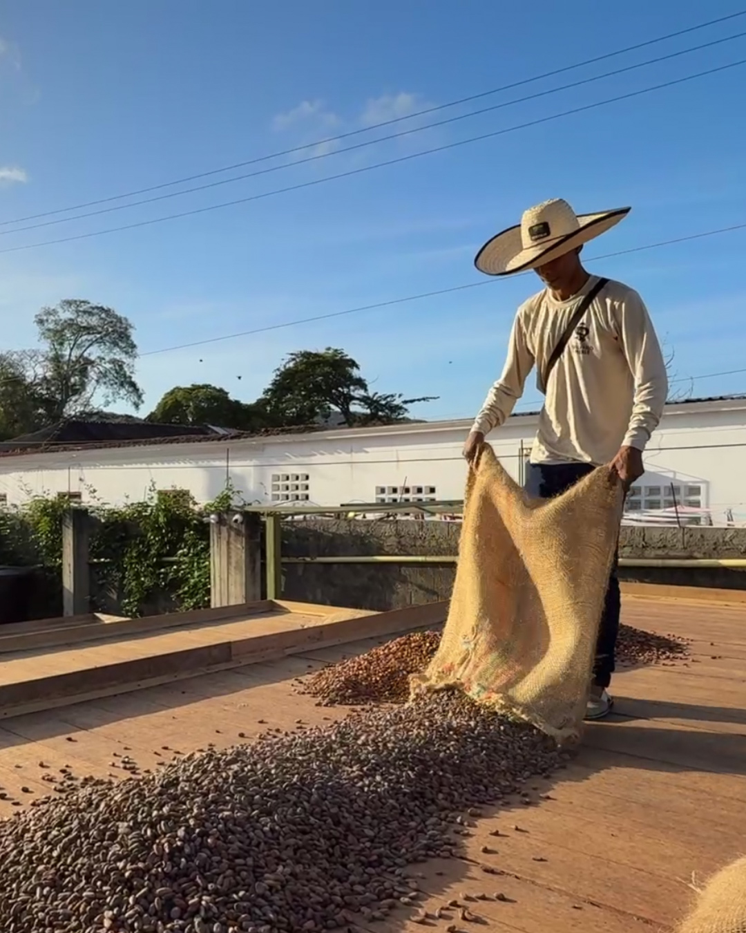 Vivero