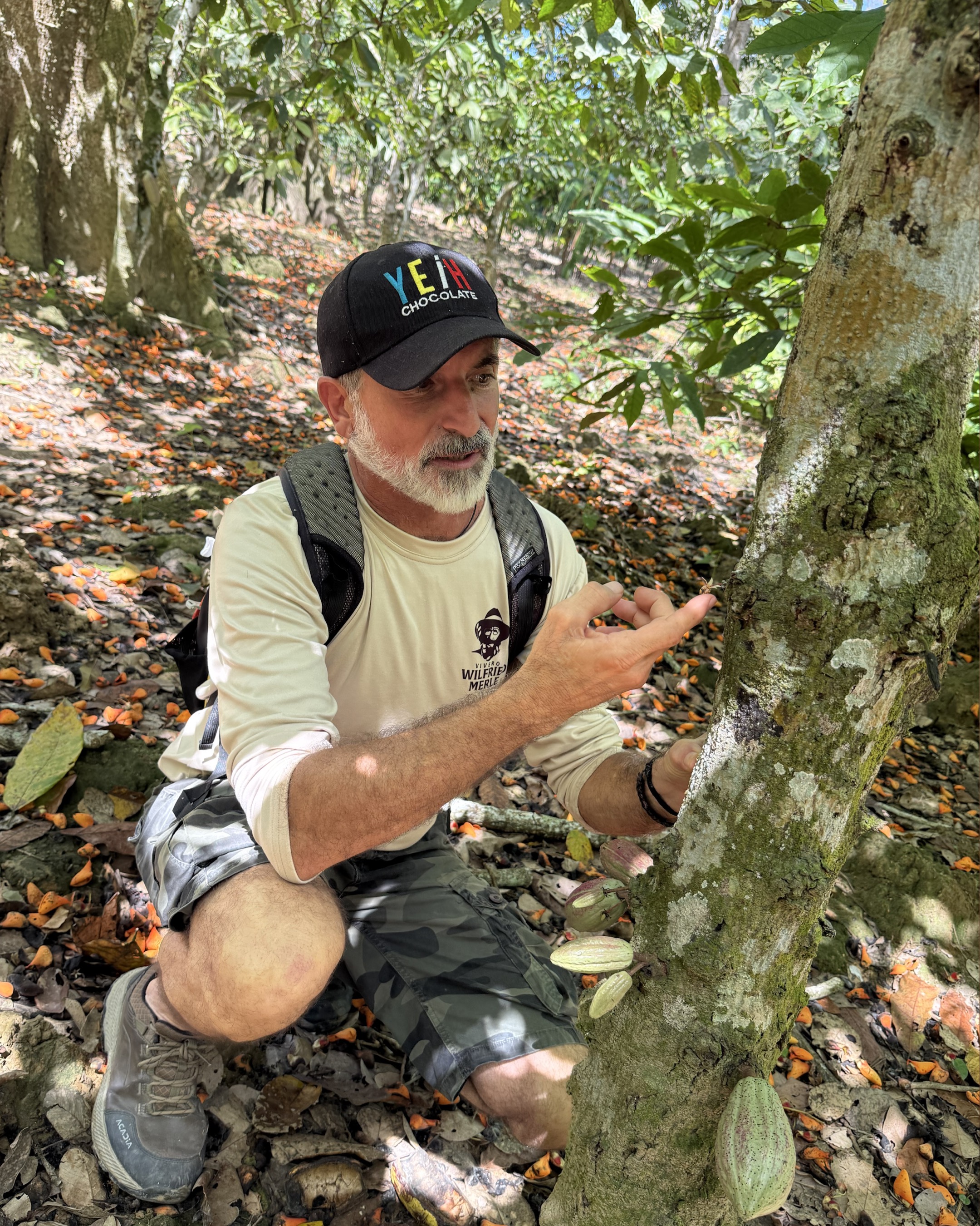Cacao