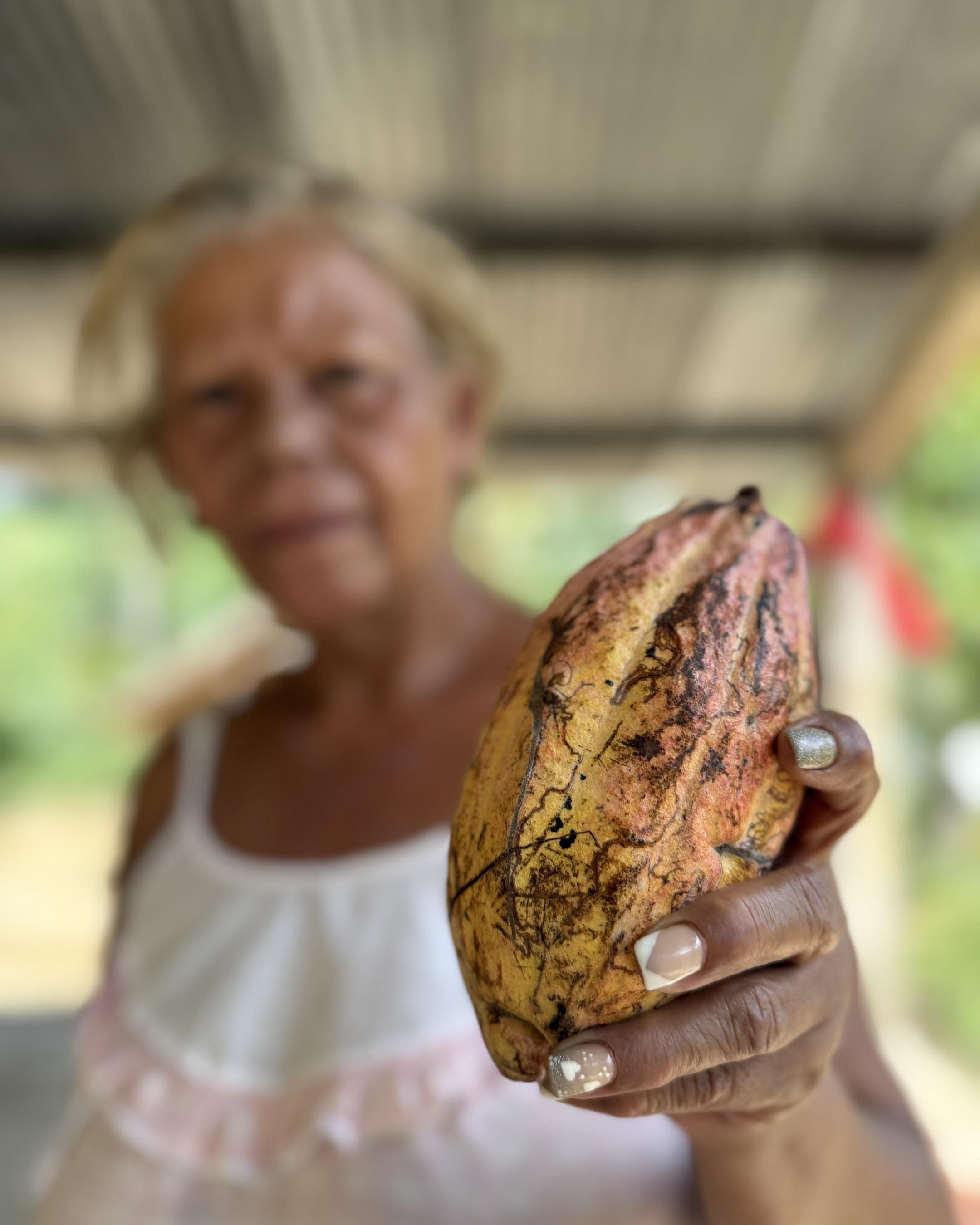 Cacao