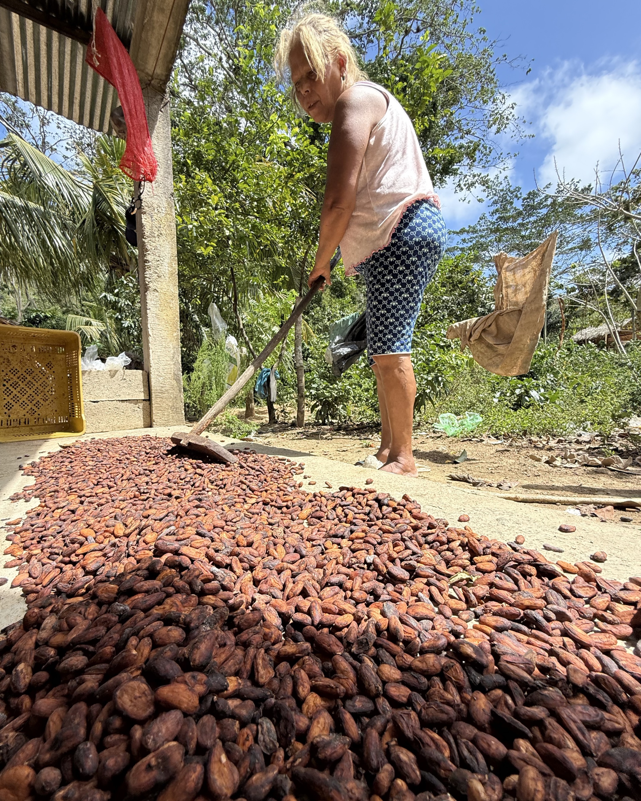 Cacao