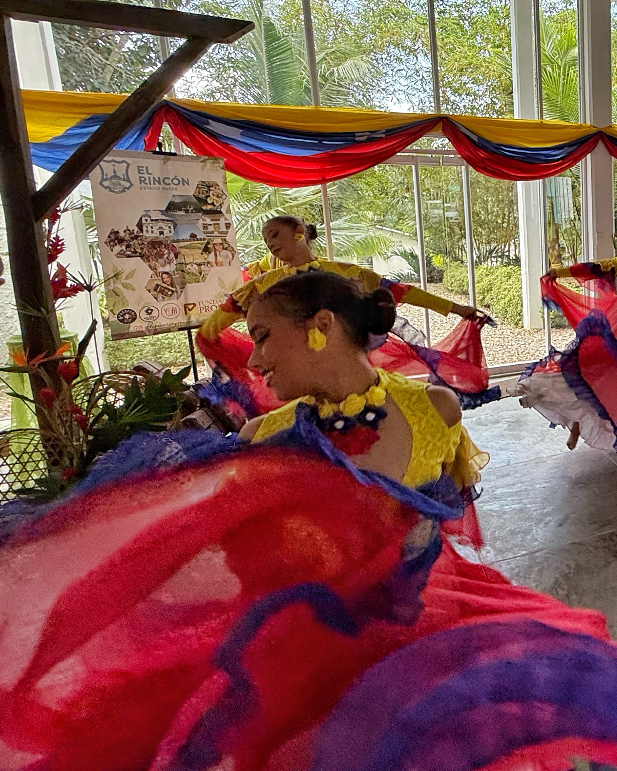 Electron Musica y Danza